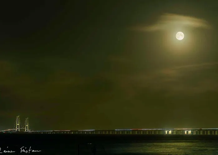 Skaerven Beachfront D By Interhome Lägenhet *